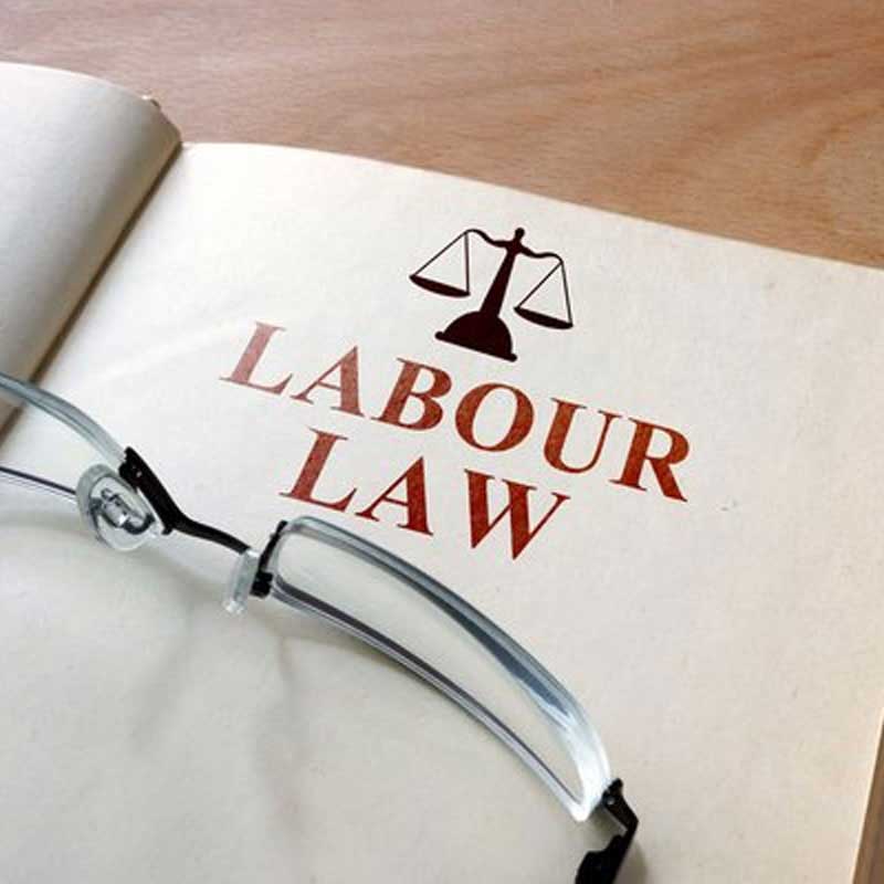 Top 10 Labour And Employment Lawyer in Pitam Pura