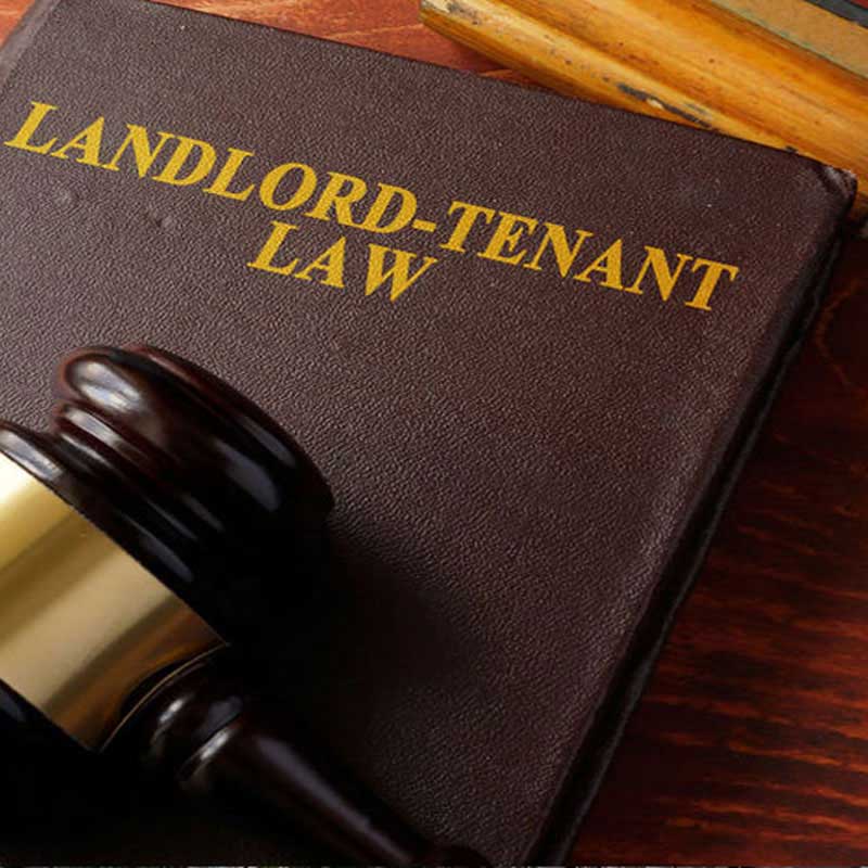 Top 10 Landlord Tenant Lawyer in Amethi